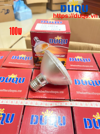 Đèn Tia Nắng 100W 1